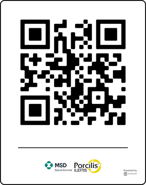QR MSD Ileítis porcina